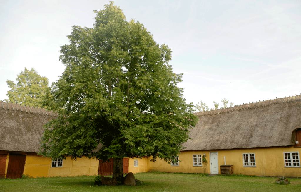 Vindbyholtgård der fungerer både som refugium og lægger hus til kulturelle arrangementer.